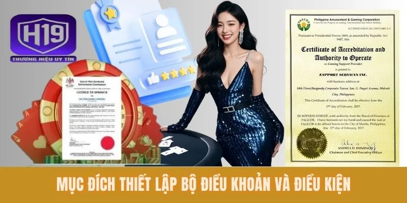 Mục đích thiết lập bộ điều khoản và điều kiện